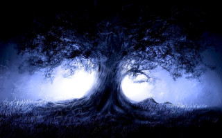 Tree light night sky full - a full moon behind free wallpaper