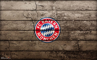 Wooden wall red blue emblem 2 - emblem free wallpaper