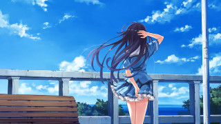 Woman long hair bench looking - a bench free wallpaper