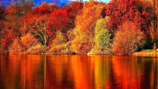 Lake trees orange red leaves 2 - a lake free wallpaper