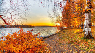 Path water trees background leaves - arthur quartley free wallpaper