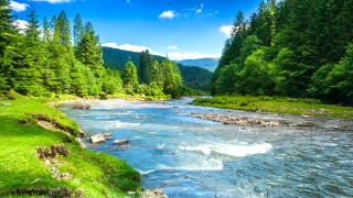 River lush forest green hills - river free wallpaper