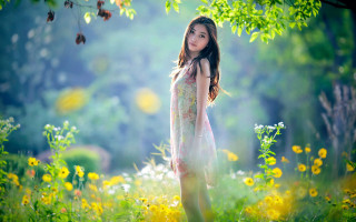 Woman field flowers tree sunlight - a field of flowers free wallpaper