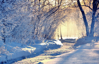 Snowy path trees bench sunbeam - a snowy path free wallpaper