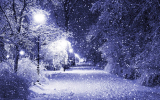 Snowy night park streetlight trees - a matte painting free wallpaper