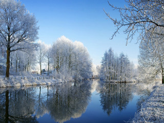 River trees snow forest bushes - snow next free wallpaper