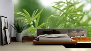 Bedroom plant window bamboo blinds - a large window behind free wallpaper