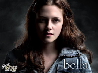 Woman long hair leather jacket 9 - long hair and a leather jacket free wallpaper