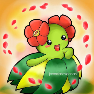 Green bird flower hair sitting - a green bird free wallpaper
