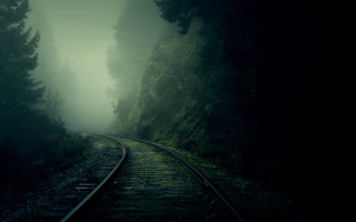 Train track forest fog trees 3 - the middle of the forest free wallpaper