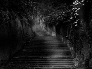 Stairs tunnel forest vines stone - grim free wallpaper
