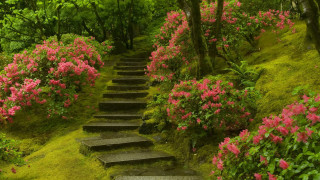 Steps hillside pink flowers green - impressionist free wallpaper