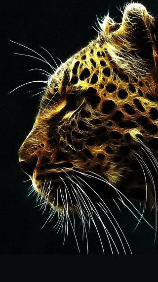 Leopard closeup black background yellow 4 - a close up of a leopards face free wallpaper