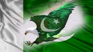 Green white flag eagle star - left free wallpaper