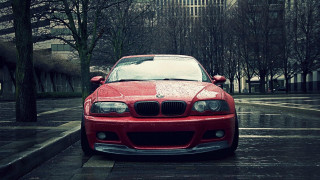 Red car wet street tree - a red car free wallpaper