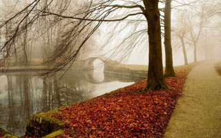 Foggy bridge river autumn leaves - a bridge over a river free wallpaper