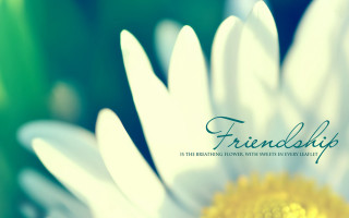 Flower friend green yellow pastel - a yellow center free wallpaper