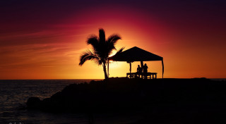 Couple bench palm tree sunset - a couple sitting free wallpaper