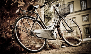 Bicycle parked tree building window - free retro wallpaper