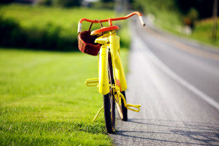 Yellow bike road grass street - the side of a road next free wallpaper