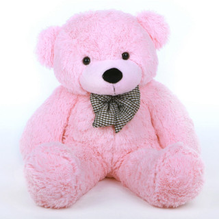 Pink teddy bear bow tie - david young cameron free wallpaper