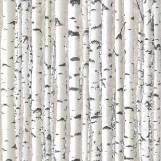 White trees black trunks background - the background free wallpaper