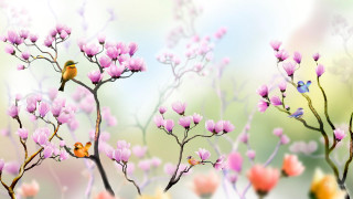 Bird tree branch pink flowers - a digital painting free wallpaper