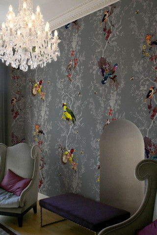 Chandelier chair couch bird wallpaper - craola free wallpaper