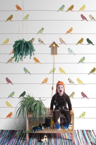 Stuffed animal bench birds wall - bird free wallpaper
