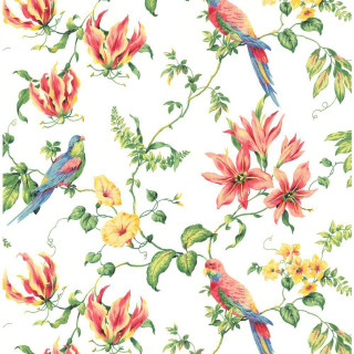 Colorful bird flower pattern white - bird free wallpaper