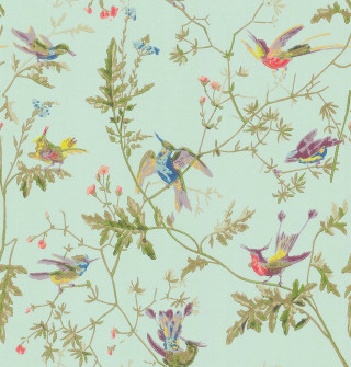 Birds flowers leaves plant branch - bird free wallpaper