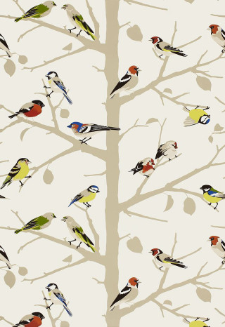 Flock birds tree branch white - bird free wallpaper