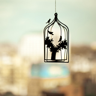 Bird cage wire city tree - florianne becker free wallpaper