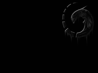 Alien head black white photo - alien free wallpaper