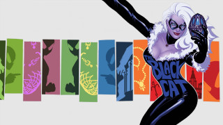 Woman cat suit cell phone - bruce timm free wallpaper