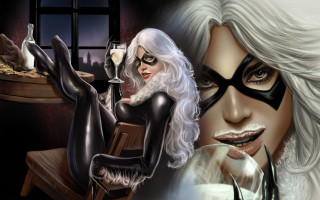 Catwoman wine man black mask - a black mask free wallpaper