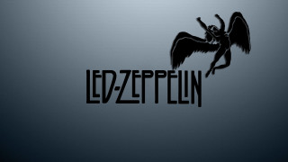Black white bird ledzeptlin photo - photo of a bird free wallpaper