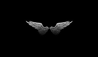 Black white wings reflection angel - an angel free wallpaper