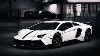 White lamb car night black - a black roof free wallpaper