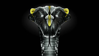 Black yellow helmet cobra domqwek - helmet free wallpaper