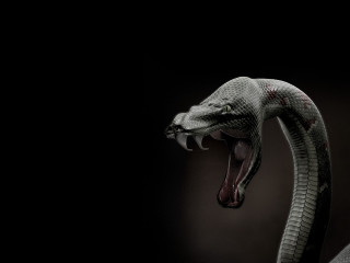 Snake mouth open tongue out 4 - its mouth wide open free wallpaper