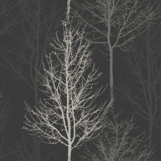 Black white bare tree ambient - dark free wallpaper