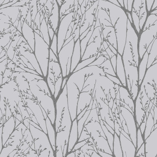 Tree no leaves grey white - gray free wallpaper