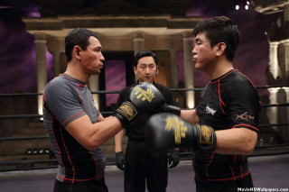 Boxing ring men black shirt - ring free wallpaper