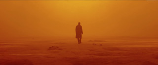 Person standing field yellow sky - hypermodernism free wallpaper