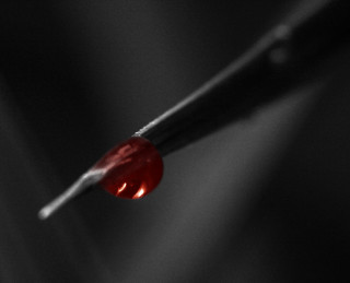 Water drop twig black background - a drop of water free wallpaper