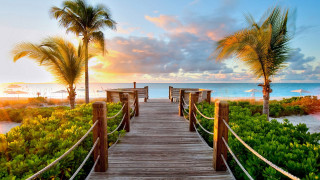 Wooden walkway beach palm trees 4 - a wooden walkway free wallpaper