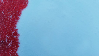 Red object snow sunny day - an gyeon free wallpaper for desktop