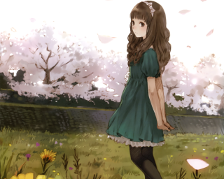 Girl green dress field flowers - white cloud free wallpaper