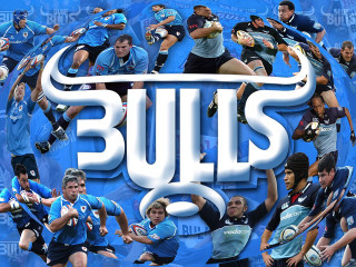 Bulls football team blue poolside - lyco art free wallpaper for desktop